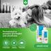ICF Clorexyderm Shampoo 4% for Dogs & Cats - 250 ml | Best International Shipping - Buy Online on SooperMarket.com
