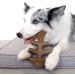 Benebone Fishbone Dog Chew Toy | Made in USA | Brown Medium Toy for Aggressive Chewers - Buy Online on SooperMarket.com