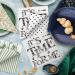 Buy PAW 3-Layer Paper Napkins (33x33 cm) - 20 Pieces | Perfect for Birthdays Weddings & Parties | Double-Sided Printed Designs - Buy Online on SooperMarket.com