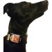 Josi.li Pocket for Dogs - Nappa Leather 30x40mm Waterproof 6 Colors 2 Compartments Velcro Fastener Perfect for Collars Up to 30mm - Buy Online on SooperMarket.com