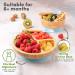 Bimba Bambino Baby Weaning Set - Bamboo Suction Plate, Bowl, 2 Spoons, Silicone Bib | Non-Toxic, Natural Bamboo, Green - Buy Online on SooperMarket.com