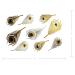 Terra Tattoos Metallic Temporary Tats - 75+ Egyptian Designs, Waterproof & Long Lasting - Ideal for Beach, Festivals & More! - Buy Online on SooperMarket.com