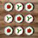 PRECUT Christmas Poinsettia Holly Cupcake Toppers Christmas Edible Holly Cake Decorations Christmas Cake Topper Xmas Cupcake Decoration Poinsettia Cake Decorations (12) - Buy Online on SooperMarket.com