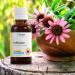 Dr Corbyn Immunity Support Bundle: Echinacea Tincture Drops (50ml) & Vitamin D3 1 000IU (50ml) | Highly Absorbable & Fast Acting Bundle - Buy Online on SooperMarket.com