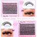 Buy Wispy Lash Clusters | 30D & 40D Individual Eyelash Extensions - 320 Pcs D Curl 9-16mm by HeyAlice - Buy Online on SooperMarket.com