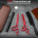 Purple Dragon 5.5 Inch Hairdressing Scissors Set (Red) 5 5" Red - Buy Online on SooperMarket.com