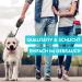 Dog is K nig 5m Roller Leash | High-Quality Extendable Dog Leash for Small & Large Dogs | Comfortable Handle | Robust Design | Smart Brake System | Ideal for 15-50kg Dogs | Night Black - Buy Online on SooperMarket.com