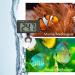 Measury Waterproof Digital Aquarium Thermometer TM10 - Accurate Temperature Control for Freshwater & Seawater | International Shipping Available - Buy Online on SooperMarket.com