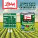 Libby's French Style Green Beans | 100% Green Beans | Classically Delicious  Mild & Subtly Sweet | Crisp-Tender Bite | No Preservatives | French Cut | Kosher | 8 ounce cans (Pack of 12) - Buy Online on SooperMarket.com