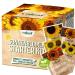 valeaf Sunflower Starter Kit (Sunflowers)
