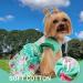 CUSOZWO Small Dog Clothes - 2 Pack Flower Dog Dress for Small Dogs and Cats - Elegant Spring Princess Skirt Outfit (M) - Buy Online on SooperMarket.com