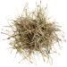 Pine needle tea quality - pine branches or - needles pine needle tea pine needles pine needles pine needles pine needles tea pine needle 100g
