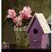 Design Master Lavender CTOOL - 12 Fl Oz (Pack of 1) - Shop Now - Buy Online on SooperMarket.com