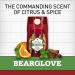 Old Spice Wild Bearglove Men's Body Wash 16 oz - Red | Packaging Varies - Buy Online on SooperMarket.com