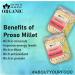 Blessfull Healing Organice PROSO Millet 1 lb (453 Gram) - Buy Online on SooperMarket.com