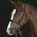 Collegiate Mono Crown Padded Raised Cavesson Bridle - Full Black - Buy Online on SooperMarket.com