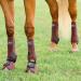 Professional's Choice 2XCOOL Sport Medical Boots - 4-Pack Large Chocolate | Premium Comfort & Support for Horses - Fast International Shipping - Buy Online on SooperMarket.com