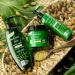 Biopoint Nutriente Mask 200ml - Deep Nourishing Hair Treatment for Luscious Locks | Buy Internationally - Buy Online on SooperMarket.com