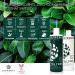 Purezero Tea Tree & Matcha Shampoo and Conditioner Set - Nourishing Scalp Treatment - Vegan & Cruelty Free - Color Safe - Buy Online on SooperMarket.com