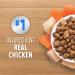 IAMS PROACTIVE HEALTH HEALTHY ENJOYMENT Adult Dry Cat Food Chicken & Salmon Recipe 2.72kg Bag 2.72 kg (Pack of 1) - Buy Online on SooperMarket.com