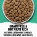 Purina Beyond Grain-Free Ocean Whitefish & Egg Cat Food 3lb - Natural Adult Dry Food - Buy Online on SooperMarket.com