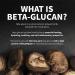 IUNIK Beta-Glucan Power Serum 400 000 ppm Intense Hydration for Dry, Mature, and Sensitive Skin Vegan Korean Skincare with Mushroom Yeast Extracts Cell Regenerating and Lifting Formula - Buy Online on SooperMarket.com