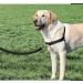 PetSafe Easy Walk Harness - Anti-Pull Dog Harness for Small Dogs Reduces Choking & Coughing Includes 1.8M Leash - Black - Buy Online on SooperMarket.com