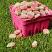 Sour Patch Kids Strawberry 226g - Buy Online on SooperMarket.com