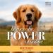 Burt's Bees Natural Hypoallergenic Dog Shampoo with Shea Butter and Honey - 16oz | For All Dogs and Puppies with Dry or Sensitive Skin | Made in USA - Buy Online on SooperMarket.com