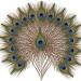 10pcs 10-12 inch Peacock Feathers Decoration Crafts Bulk Multicolored Natural Peacock Feathers for DIY Craft  Easter Decoration Flower Arrangement and Home Decoration 10-12Inch-10pcs