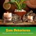 Kork-Deko Cork Bark Pieces I Aquarium Terrarium Decoration I Sachet 500g | Cleaned and disinfected - Buy Online on SooperMarket.com
