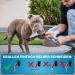 Buy Bluepet Krallensch n Adjustable Claw Scissors for Large Dogs & Cats - Extra Strong Nail Cutter with File (Size M-L) - Ideal for Tough Claws - Buy Online on SooperMarket.com