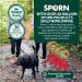 Dog Harness - No pull and No choke humane Design Non Pulling Pet Harness with Mesh vest Easy Step-in Adjustable Mesh Harness for control Red Medium by Sporn Medium Red - Buy Online on SooperMarket.com