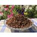 Bee Bread Perga Fermented Bee Pollen Raw & Natural No Preservatives No Genetic Engineering Suitable for Vegetarians 1Kg.