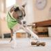 Benebone Zaggler Rolling Dog Chew Toy - Real Bacon Flavor, Made in USA - Medium Size for Aggressive Chewers - Buy Online on SooperMarket.com