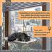 Selify Cat Window Perch - Extra Large & Sturdy, Free Fleece Blanket & Toy, Holds Two Large Cats, Easy to Assemble - Buy Online on SooperMarket.com