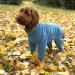 Warm Four Legged Dog Fleece Available in Five Sizes & Three Colours (Teal Medium (Four Legged)) Medium (Four Legged) Teal