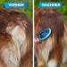 Bluepet Double-Decker 2-in-1 Dog Brush for Long & Short Hair - Perfect for Puppies & Cats - Ultimate Fur Care Tool - Buy Online on SooperMarket.com