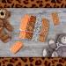 48 Pack Jungle Safari Animal Print Pocket Tissues - Portable Travel Size Facial Tissues for Birthday, Baby Shower, Holiday Parties - Buy Online on SooperMarket.com