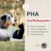 Buy PHA Salmon Oil for Dogs Cats & Horses | Sustainable Omega 3 & 6 Fatty Acids from Norway - 1L (1000ml) - Buy Online on SooperMarket.com