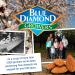 Blue Diamond Almonds Roasted Salted 1.5oz (12 Pack) - Buy Online - Buy Online on SooperMarket.com