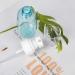 Buy 60ml Transparent Refillable Atomizer Spray Bottle - Fine Mist Perfume & Skincare Plastic Spray for Travel & Cosmetic Use - Buy Online on SooperMarket.com