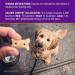Old Mother Hubbard P-Nuttier Peanut Butter Dog Treats - All Natural, Crunchy, Healthy Snacks for Small Dogs - Buy Online on SooperMarket.com