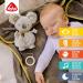 Fehn Koala Music Box Baby Sleep Aid & Cuddly Toy with Mozart's Lullaby | Perfect Travel & Home Music Toy for Babies and Toddlers - Buy Online on SooperMarket.com