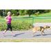DINGO Canicross Belt 4-in-1 | Universal Adjustable Hands-Free Dog Walking Belt | Reflective Multifunctional | Running Sports Jogging Training | Black Waist Belt (12780-2) - Buy Online on SooperMarket.com