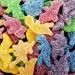 Trolli Dinorex Sour Gummy Candy Chewy Sweets Vegan Lactose & Gluten Free 6 Fruity Flavours 150g - 3x Share Bags - Buy Online on SooperMarket.com