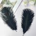 Pioio 20pcs Black Ostrich Feathers Plumes 12-14 inch - Ideal for DIY Halloween & Gatsby Decorations - Buy Online on SooperMarket.com
