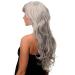 Ladies WIG ME UP - Grey Silver Black Mix Wavy Very Long Wig 70 cm - Curly Style for International Shipping - Buy Online on SooperMarket.com