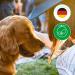 Jack & the Tub Dog Shampoo Mild Mint 500 ml - Nourishing Dog Shampoo with Conditioner & Refreshing Mint Scent for All Breeds | International Shipping - Buy Online on SooperMarket.com
