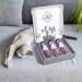 Buy Ne & No Gift Set with Natural Matatabi Sticks | 24 Dental Care Cat Sticks | Perfect Treats for Cats | International Shipping - Buy Online on SooperMarket.com